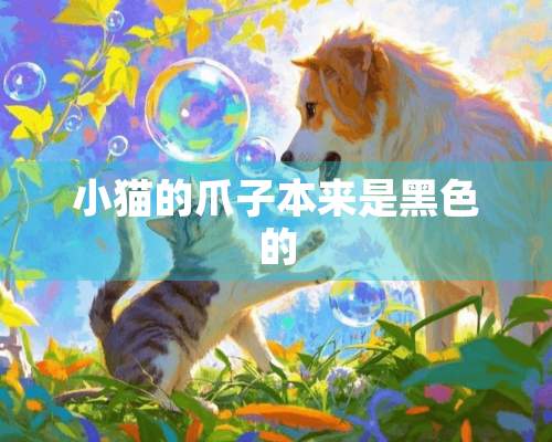 小猫的爪子本来是黑色的