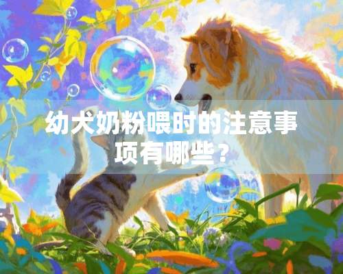 幼犬奶粉喂时的注意事项有哪些？