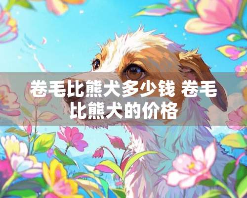 卷毛比熊犬多少钱 卷毛比熊犬的价格