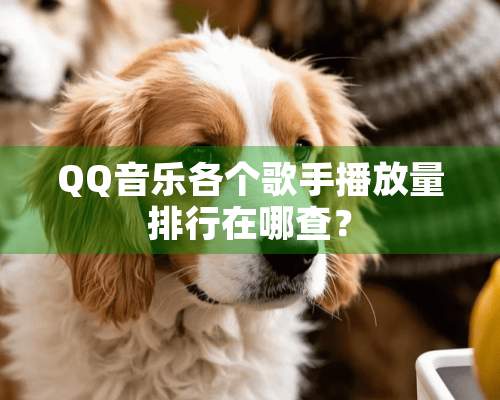 QQ音乐各个歌手播放量排行在哪查？