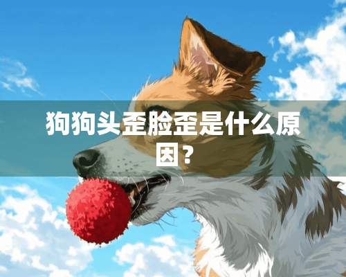 狗狗头歪脸歪是什么原因？