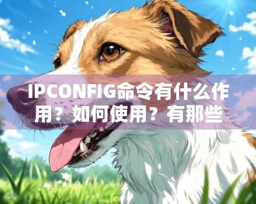 IPCONFIG命令有什么作用？如何使用？有那些参数？