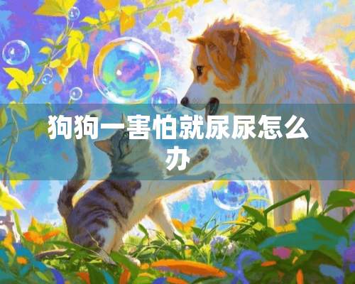 狗狗一害怕就尿尿怎么办