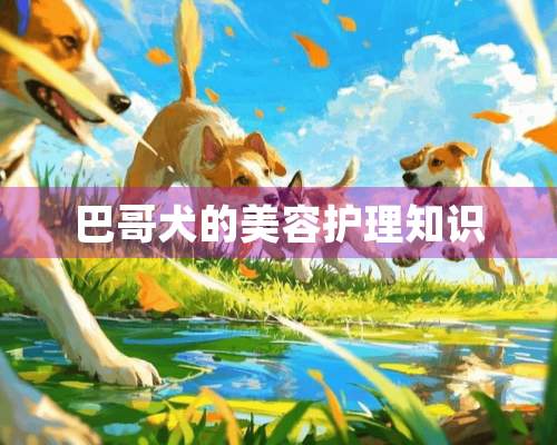 巴哥犬的美容护理知识