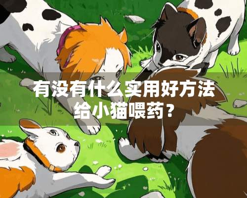 有没有什么实用好方法给小猫喂药？