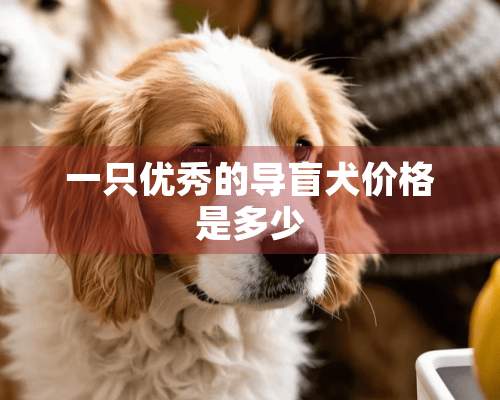 一只优秀的导盲犬价格是多少