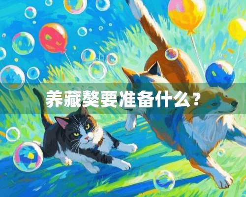 养藏獒要准备什么？