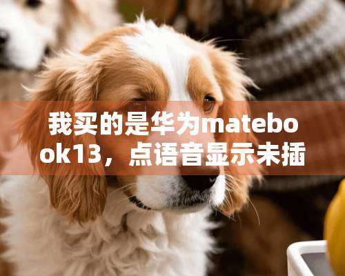 我买的是华为matebook13，点语音显示未插入音频设备，是什么原因