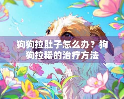 狗狗拉肚子怎么办？狗狗拉稀的治疗方法