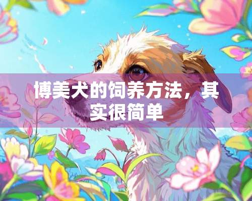 博美犬的饲养方法，其实很简单