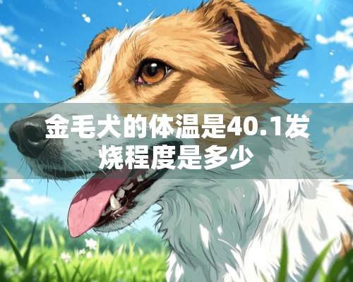 金毛犬的体温是40.1发烧程度是多少