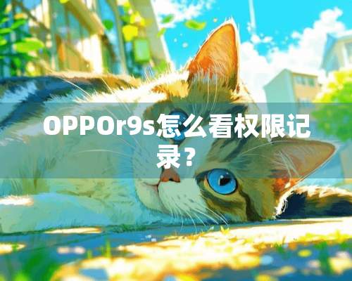 OPPOr9s怎么看权限记录？