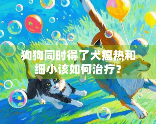 狗狗同时得了犬瘟热和细小该如何治疗？