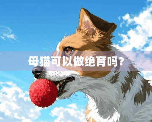 母猫可以做绝育吗？