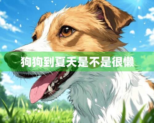 狗狗到夏天是不是很懒