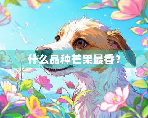 什么品种芒果最香？