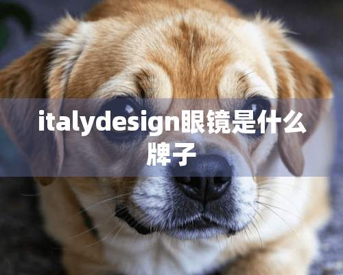 italydesign眼镜是什么牌子