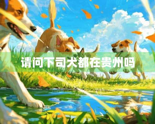 请问下司犬都在贵州吗