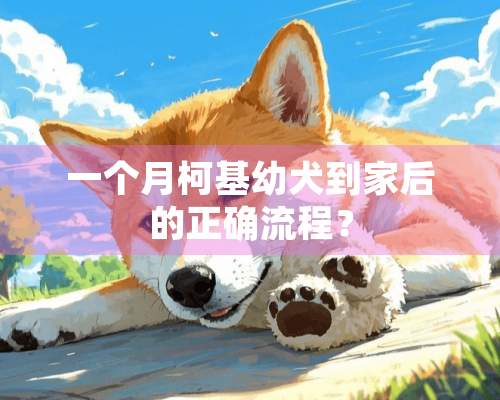 一个月柯基幼犬到家后的正确流程？