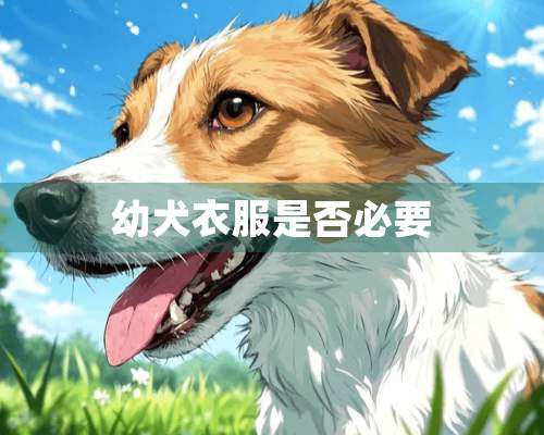 幼犬衣服是否必要