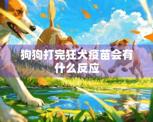 狗狗打完狂犬**会有什么反应