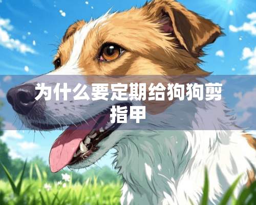 为什么要定期给狗狗剪指甲