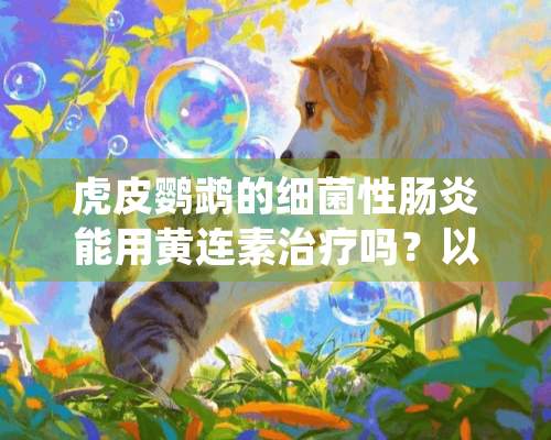 虎皮鹦鹉的细菌性肠炎能用黄连素治疗吗？以您的经验用什么最好？