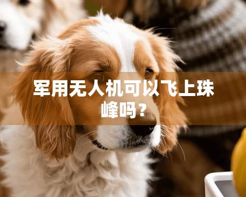 **无人机可以飞上珠峰吗？