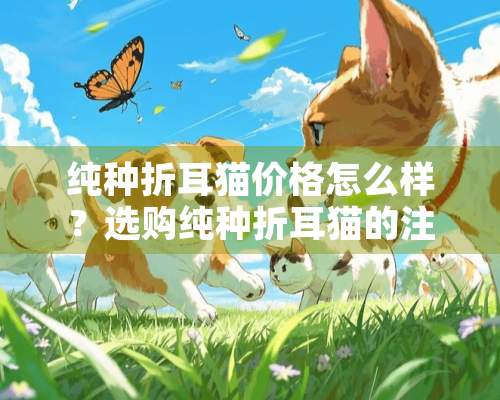 纯种折耳猫价格怎么样？选购纯种折耳猫的注意事项有哪