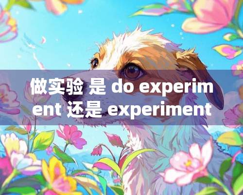 做实验 是 do experiment 还是 experiments