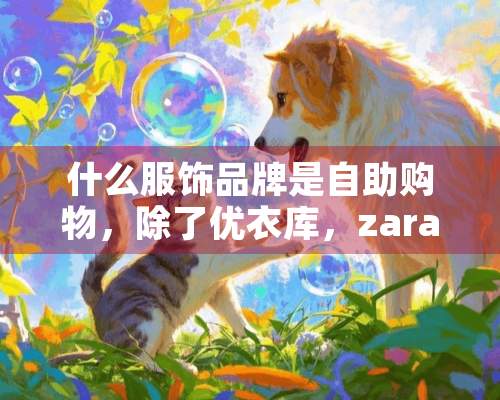 什么服饰品牌是自助购物，除了优衣库，zara HM还有什么