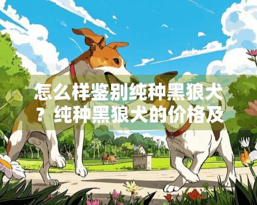 怎么样鉴别纯种黑狼犬？纯种黑狼犬的价格及选购注意事