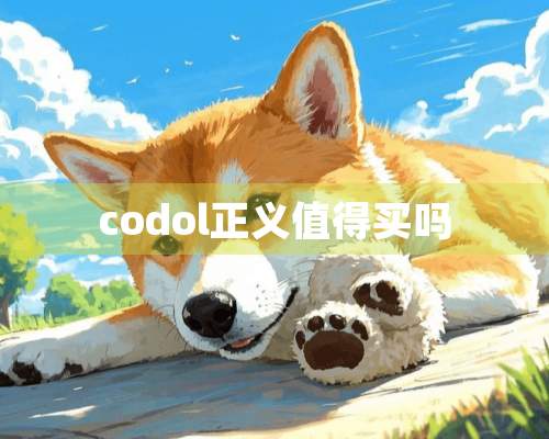 codol正义值得买吗