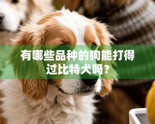 有哪些品种的狗能打得过比特犬吗？