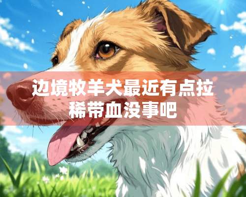 边境牧羊犬最近有点拉稀带血没事吧