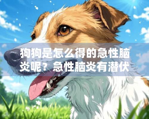 狗狗是怎么得的急性脑炎呢？急性脑炎有潜伏期吗？