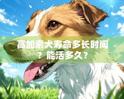 高加索犬寿命多长时间？能活多久？