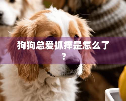 狗狗总爱抓痒是怎么了？