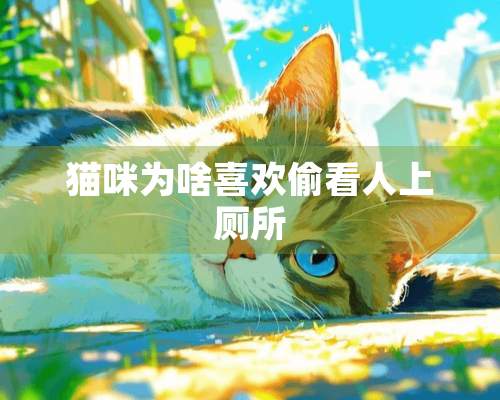 猫咪为啥喜欢偷看人上厕所