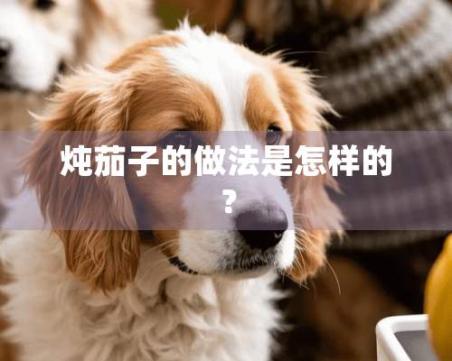 炖茄子的做法是怎样的？