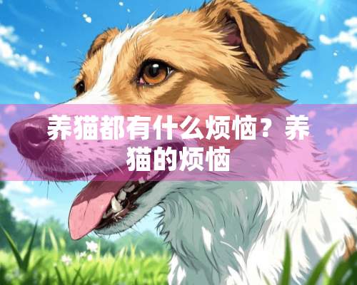 养猫都有什么烦恼？养猫的烦恼