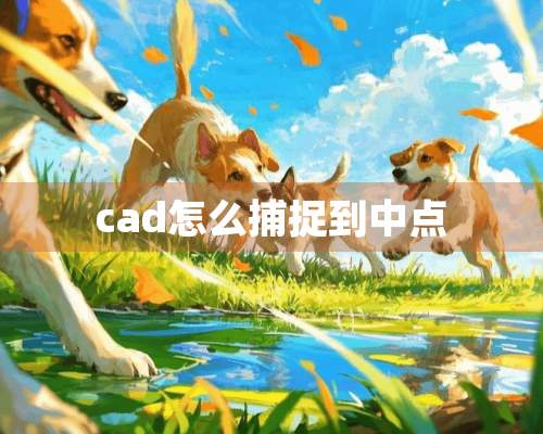 cad怎么捕捉到中点