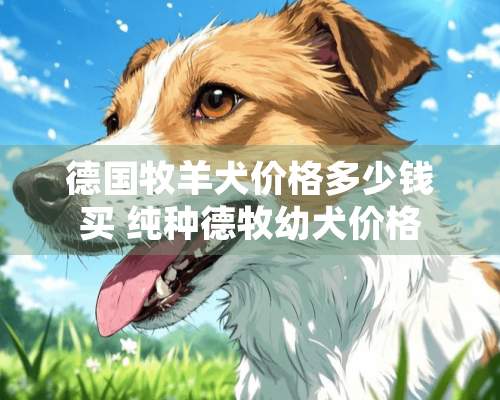 德国牧羊犬价格多少钱买 纯种德牧幼犬价格