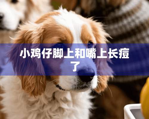 小鸡仔脚上和嘴上长痘了