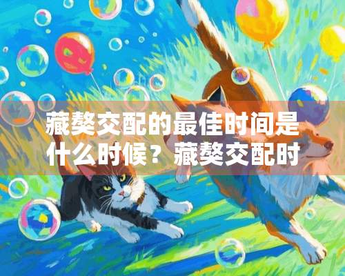 藏獒交配的最佳时间是什么时候？藏獒交配时间、价格及配种方法