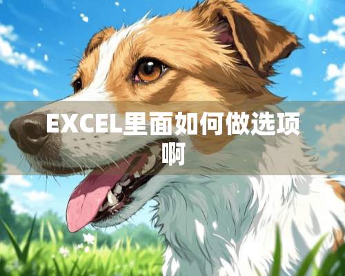 EXCEL里面如何做选项啊