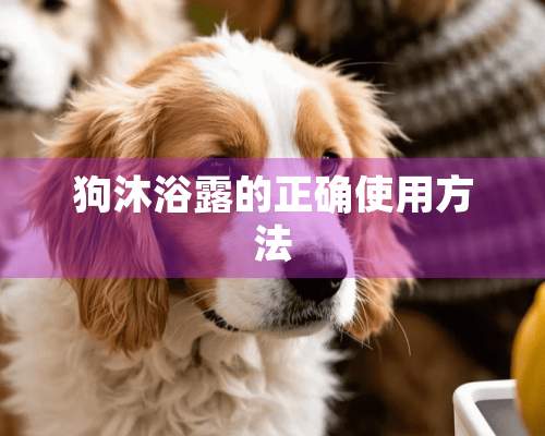 狗沐浴露的正确使用方法