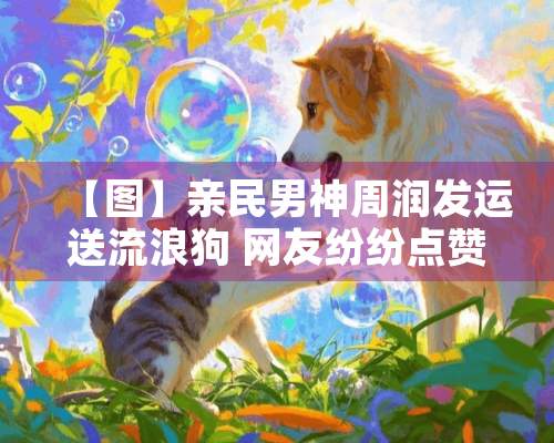 【图】亲民男神周润发运送流浪狗 网友纷纷点赞！