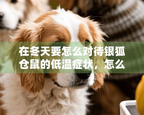 在冬天要怎么对待银狐仓鼠的低温症状，怎么区别它冬眠和生病？