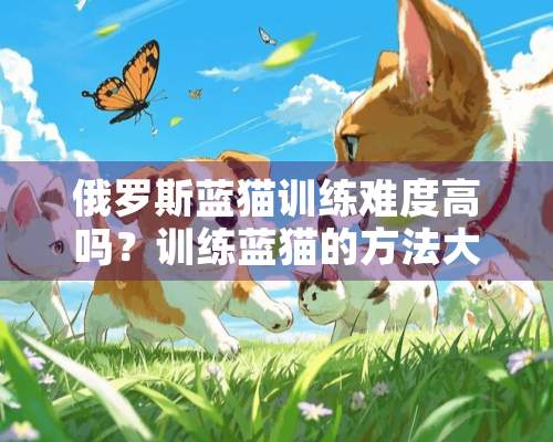 俄罗斯蓝猫训练难度高吗？训练蓝猫的方法大全